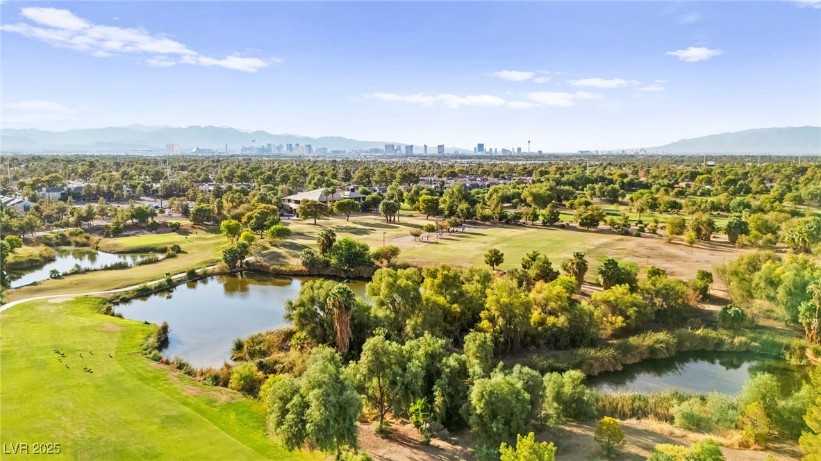 409 Indigo Springs Street Henderson, NV 89014 - Photo 88 of 97