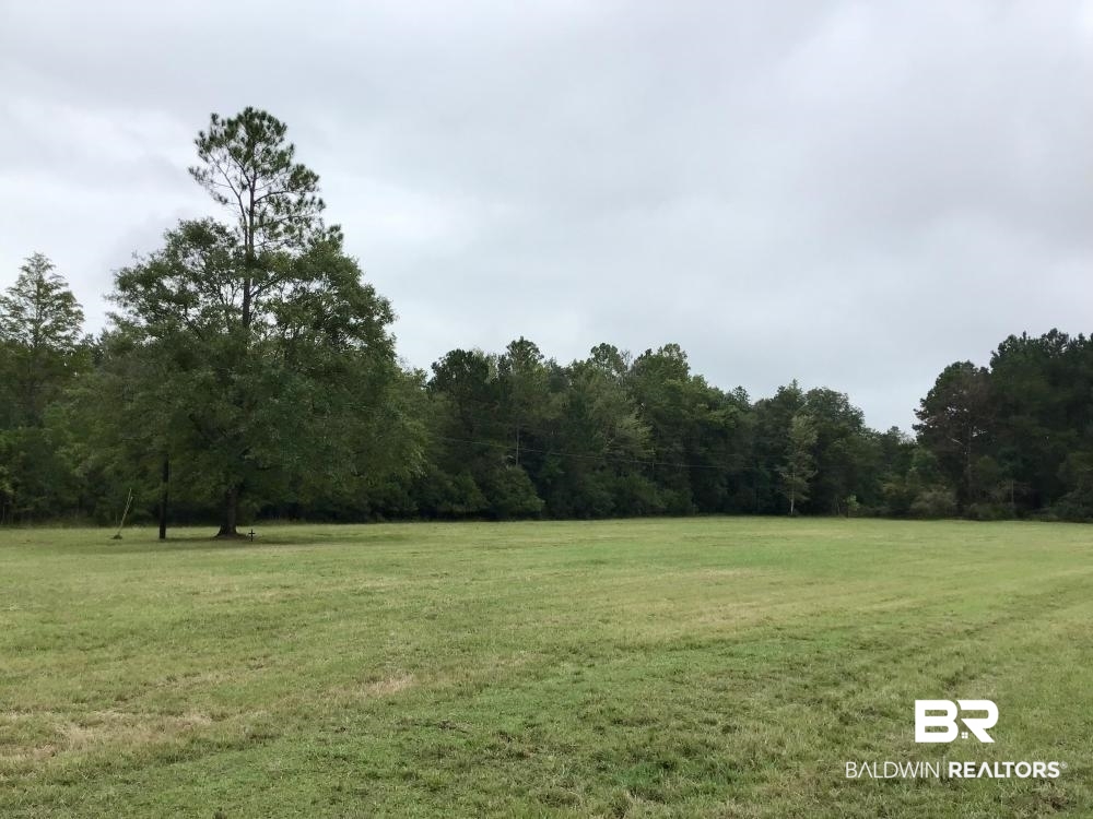 0 Country Road Axis, AL 36505 - Photo 11 of 42