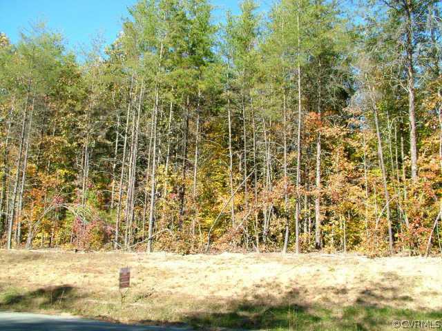 4 Robertson Town Road Bumpass, VA 23024 - Photo 1 of 1 Exterior Front - the lot from the road