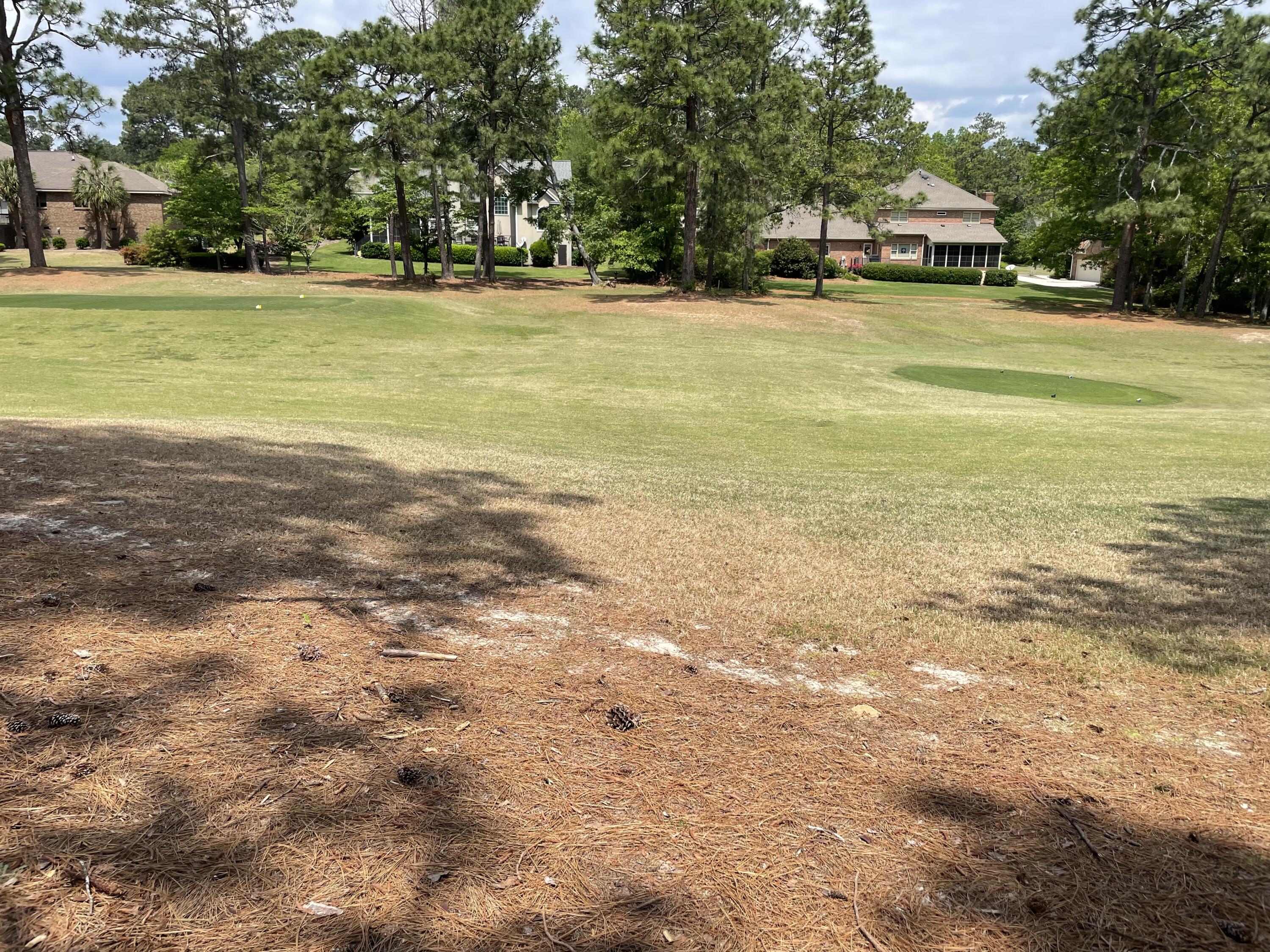 917 Holley Lake Road Aiken, SC 29803 - Photo 61 of 69