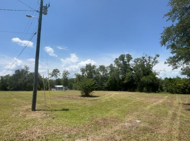 2032 Brogdon Street Grand Ridge, FL 32442 - Photo 4 of 19 backyard