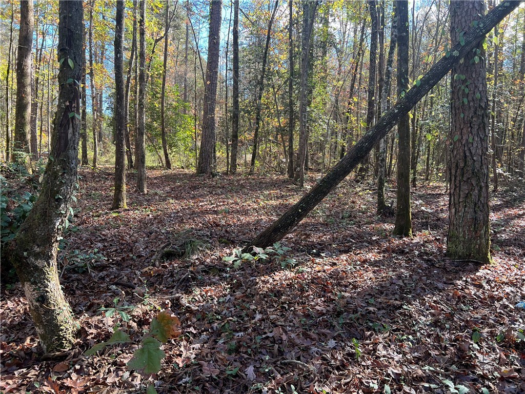 0 Cox Way Westminster, SC 29693 - Photo 3 of 7