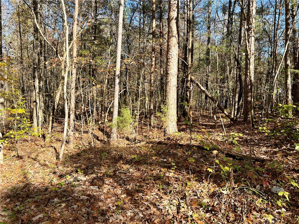 0 Cox Way Westminster, SC 29693 - Photo 6 of 7