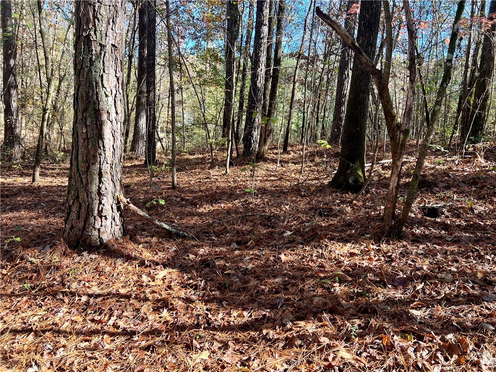 0 Cox Way Westminster, SC 29693 - Photo 7 of 7