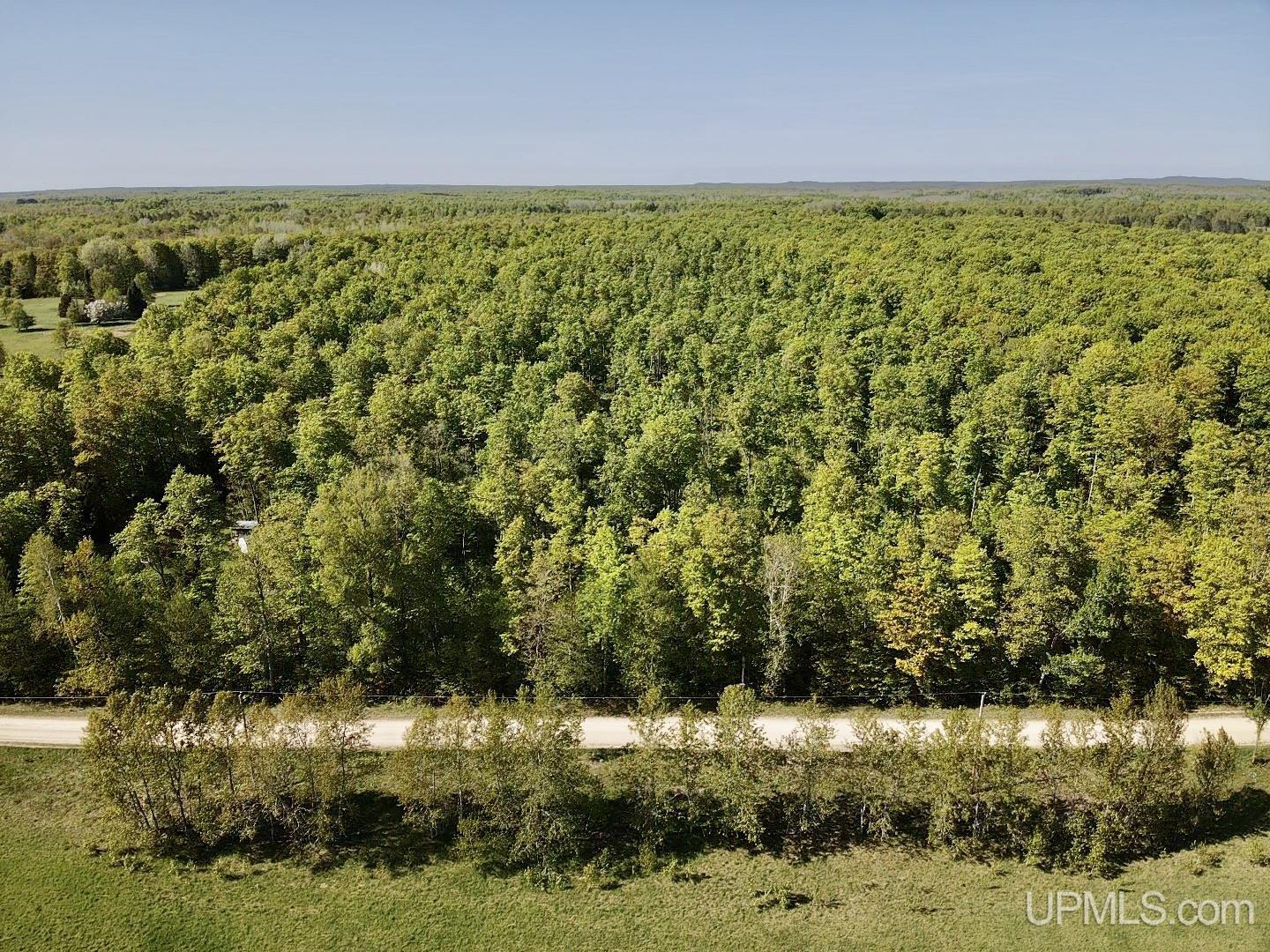 Tbd Tbd Storm Road Chatham, MI 49816 - Photo 8 of 11