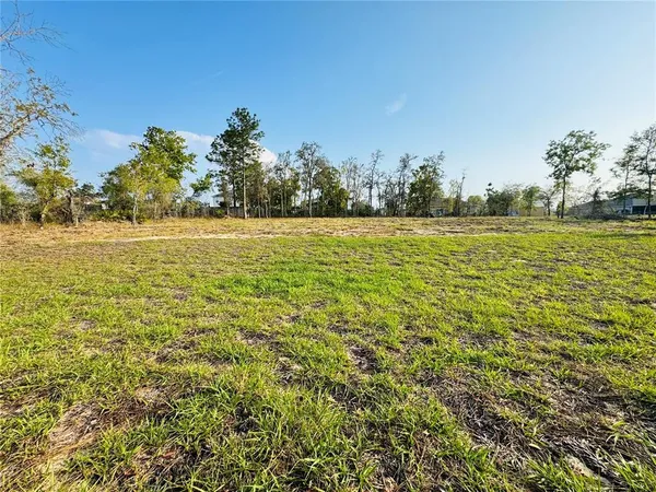 $325,000 | 11380 Old Squaw Avenue, Weeki Wachee, FL 34614