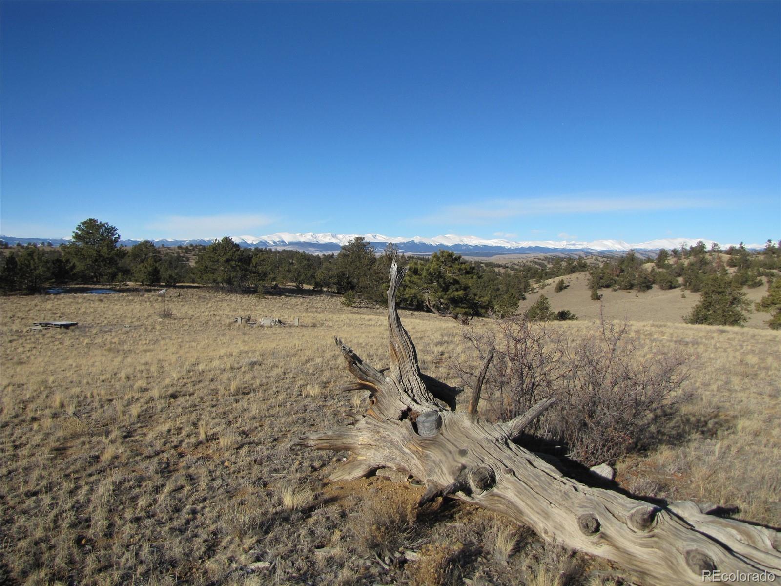 2767 Fitzsimmons Road Hartsel, CO 80449 - Photo 14 of 28 a view of a dry yard with wooden fence