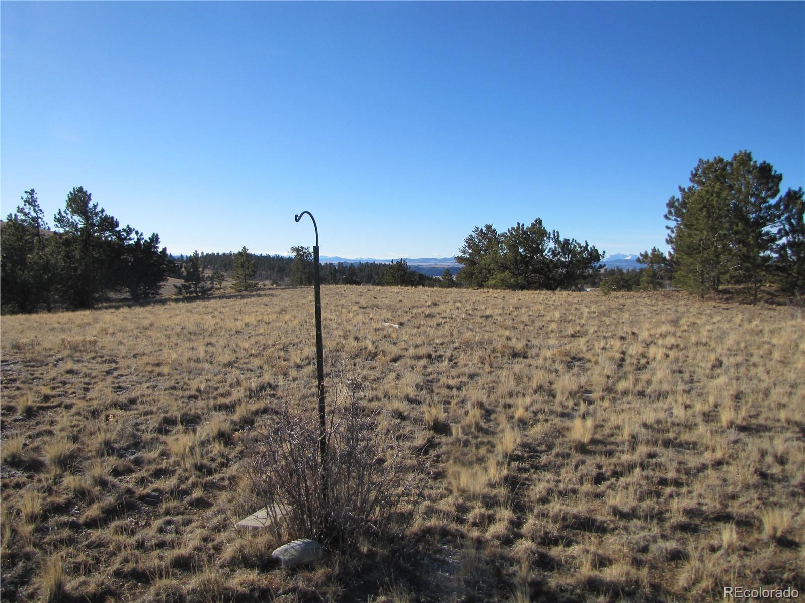 2767 Fitzsimmons Road Hartsel, CO 80449 - Photo 19 of 28 a view of a field with an outdoor space