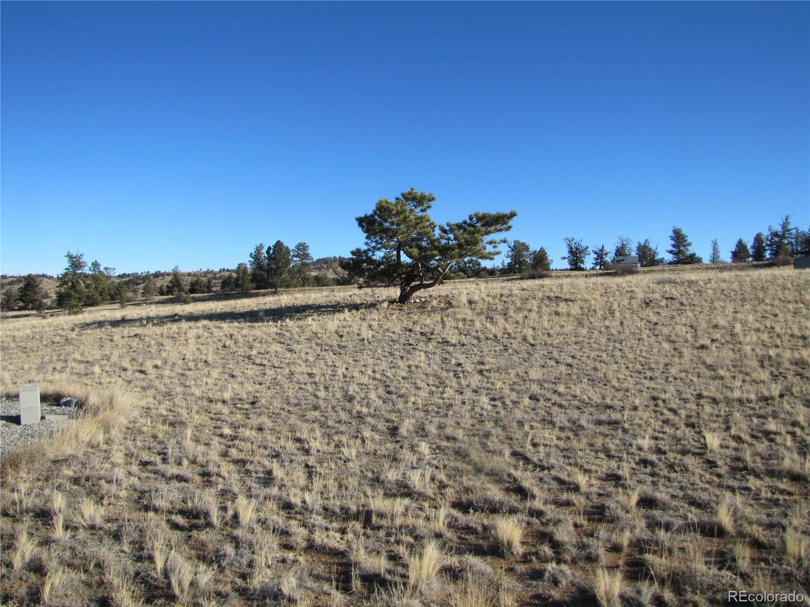 2767 Fitzsimmons Road Hartsel, CO 80449 - Photo 21 of 28 a view of sky view