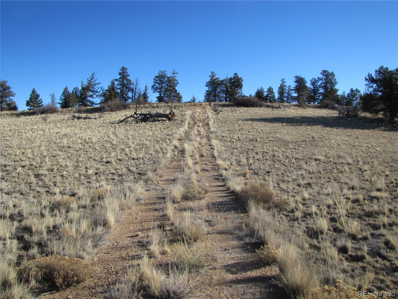 2767 Fitzsimmons Road Hartsel, CO 80449 - Photo 25 of 28 a view of a pathway with a building in the background