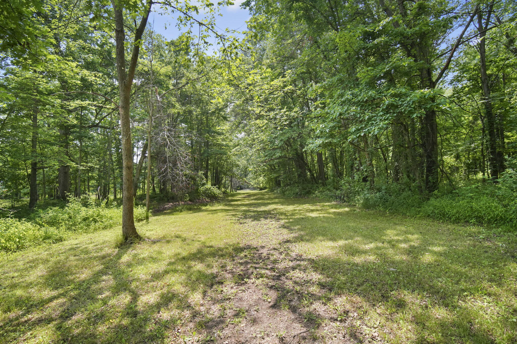 15361 Elm Row Road Albion, MI 49224 - Photo 48 of 67 48