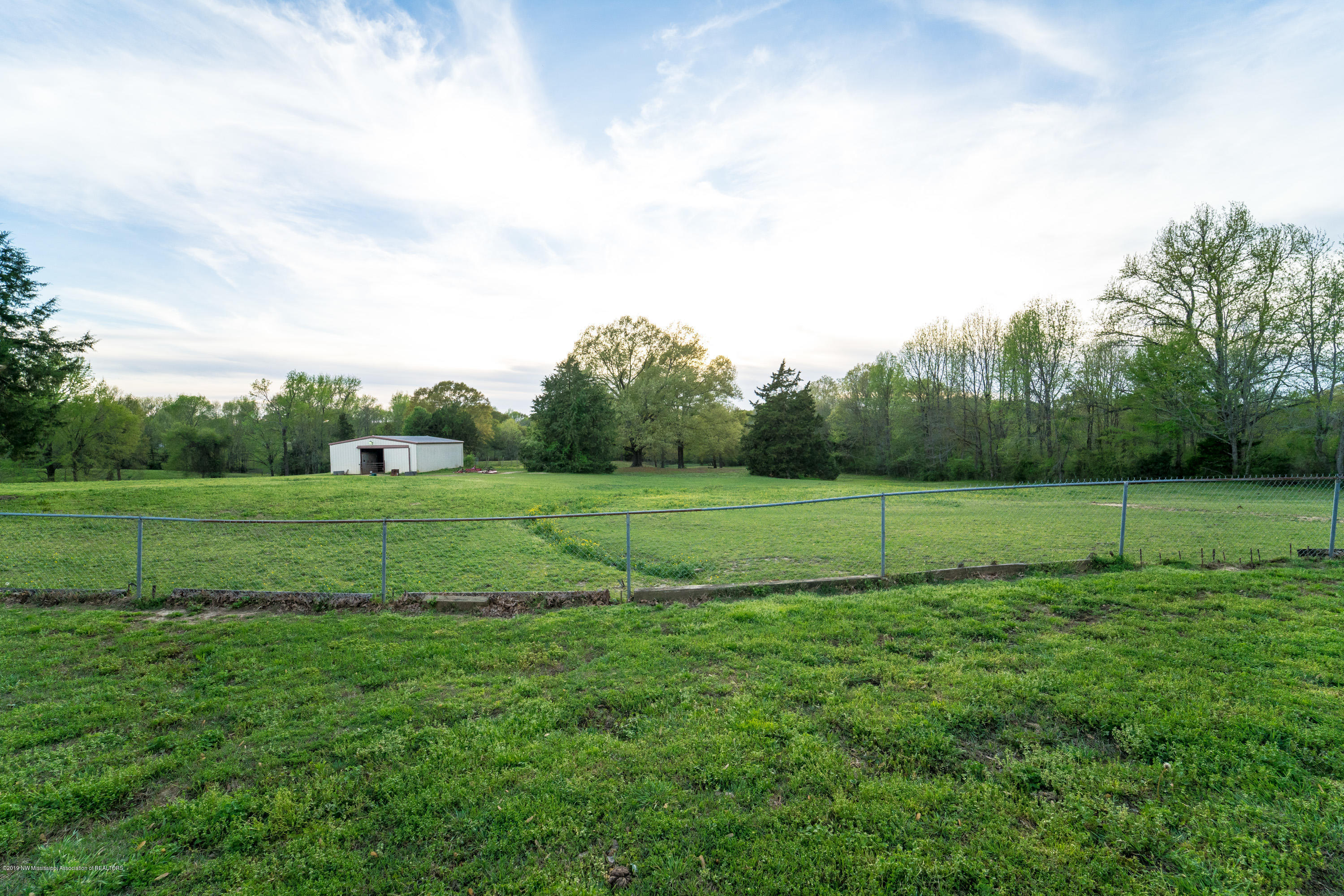 2596 Peyton Road Coldwater, MS 38618 - Photo 46 of 65 VIEW FROM BACK PORCH