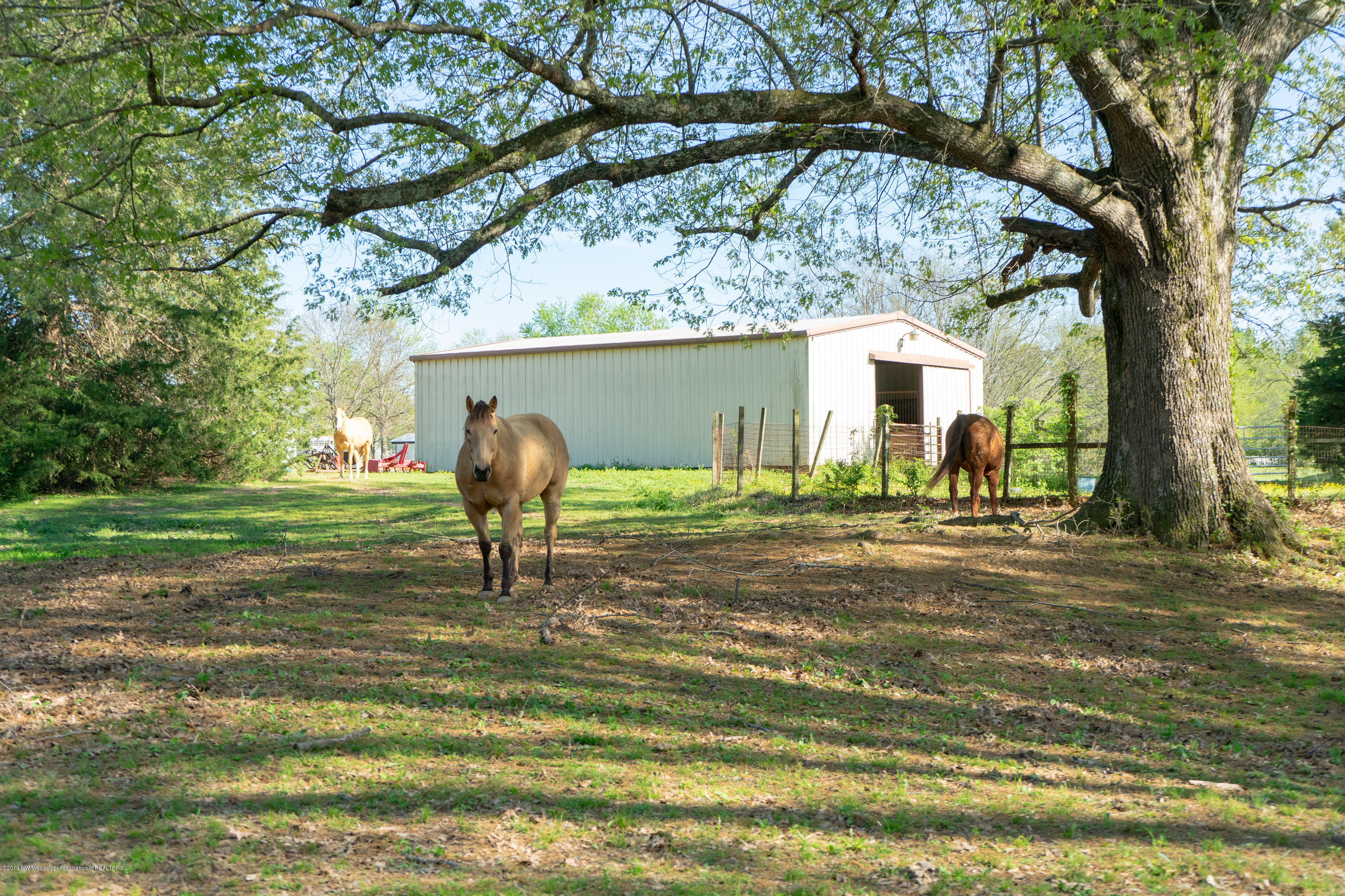 2596 Peyton Road Coldwater, MS 38618 - Photo 48 of 65 BARN