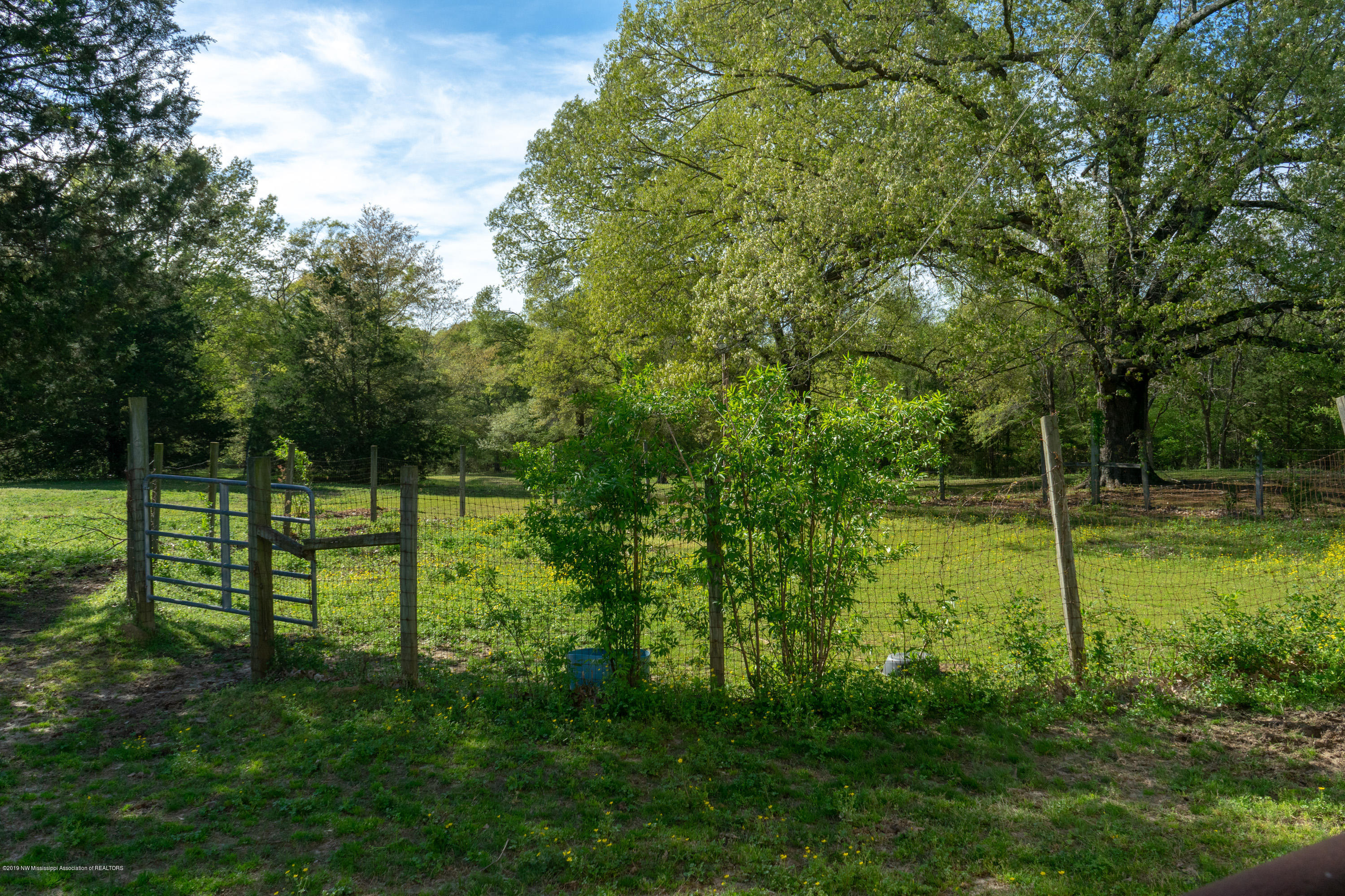 2596 Peyton Road Coldwater, MS 38618 - Photo 52 of 65 Barn-00934
