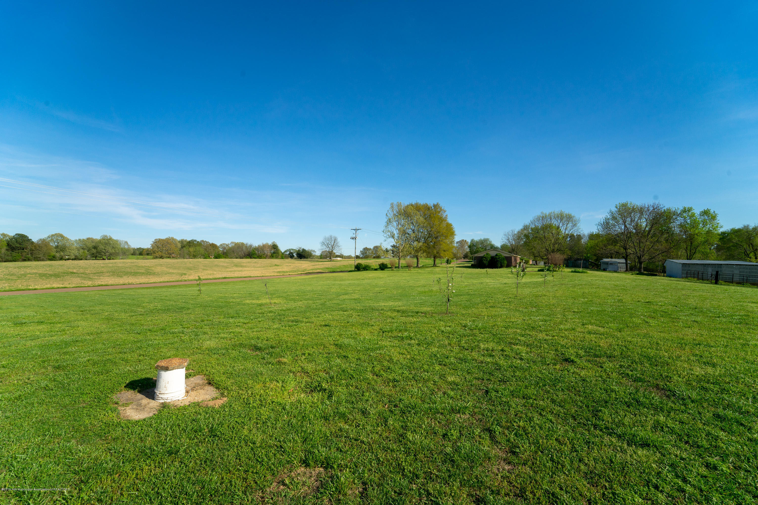 2596 Peyton Road Coldwater, MS 38618 - Photo 53 of 65 FRUIT ORCHARD