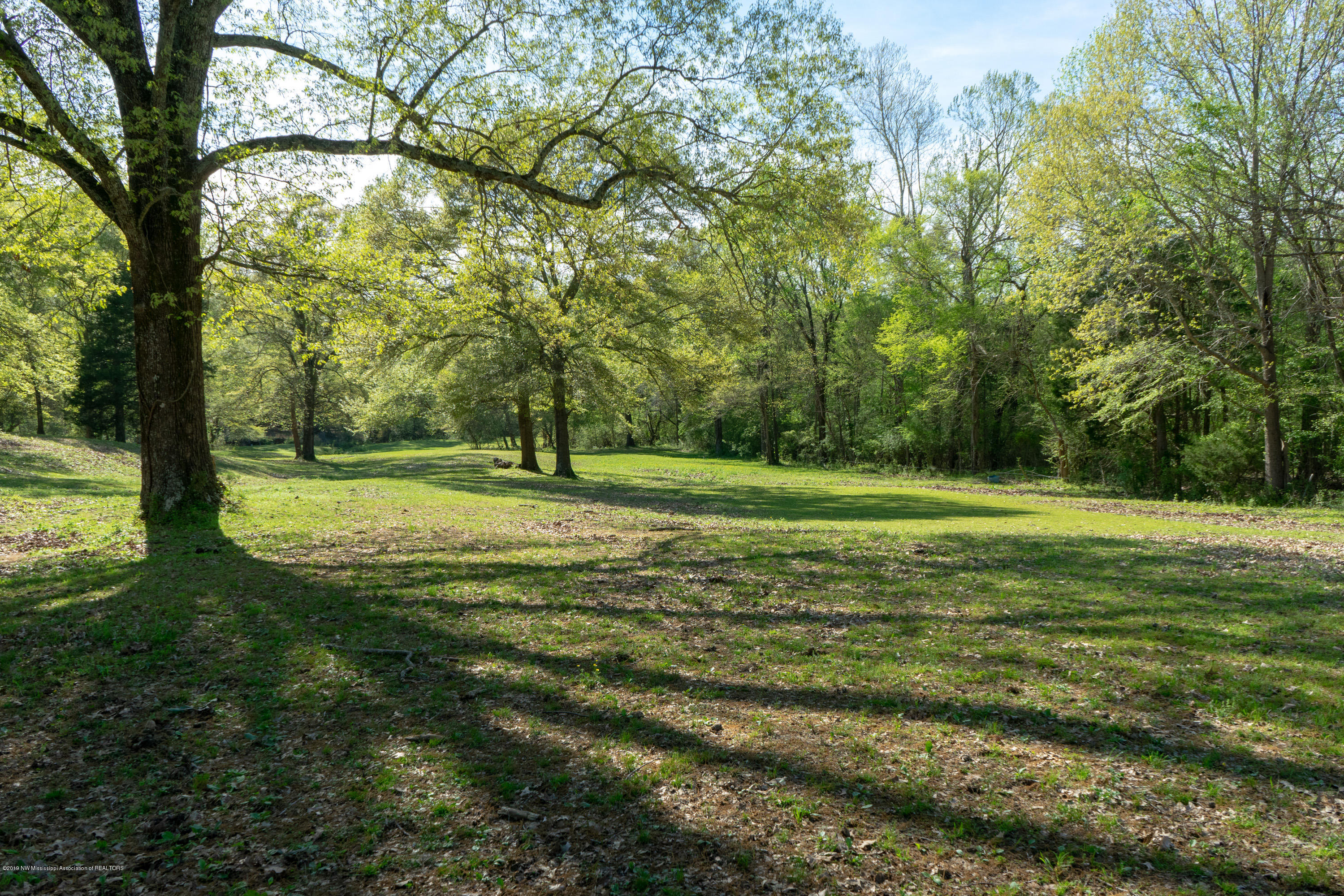 2596 Peyton Road Coldwater, MS 38618 - Photo 55 of 65 GORGEOUS LAND