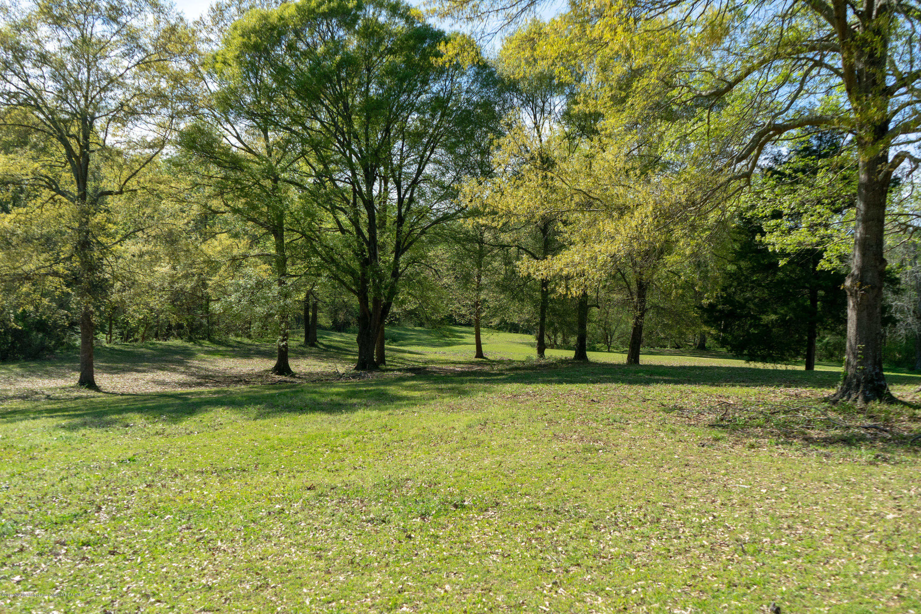 2596 Peyton Road Coldwater, MS 38618 - Photo 56 of 65 GORGEOUS LAND
