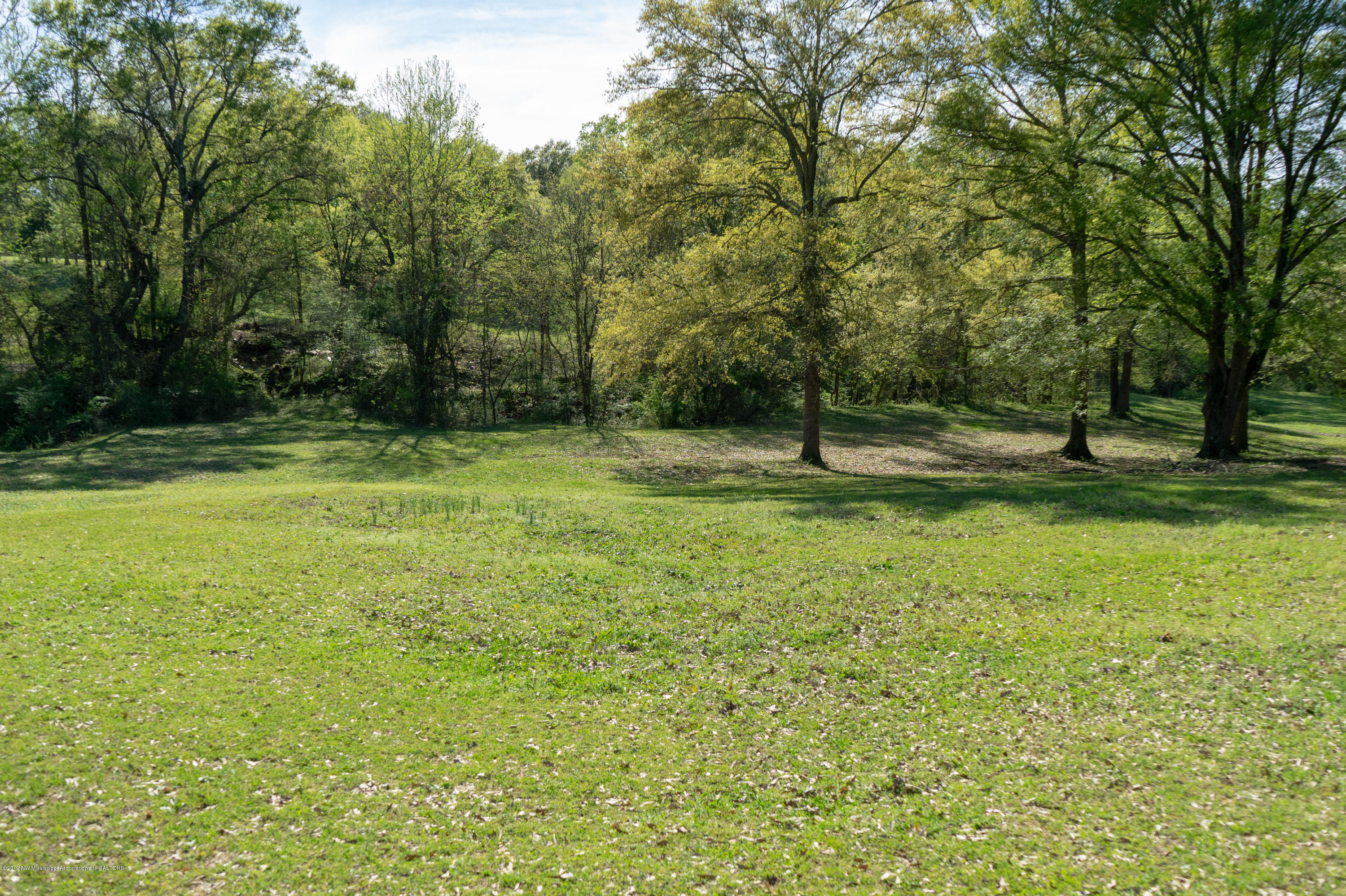 2596 Peyton Road Coldwater, MS 38618 - Photo 57 of 65 GORGEOUS LAND
