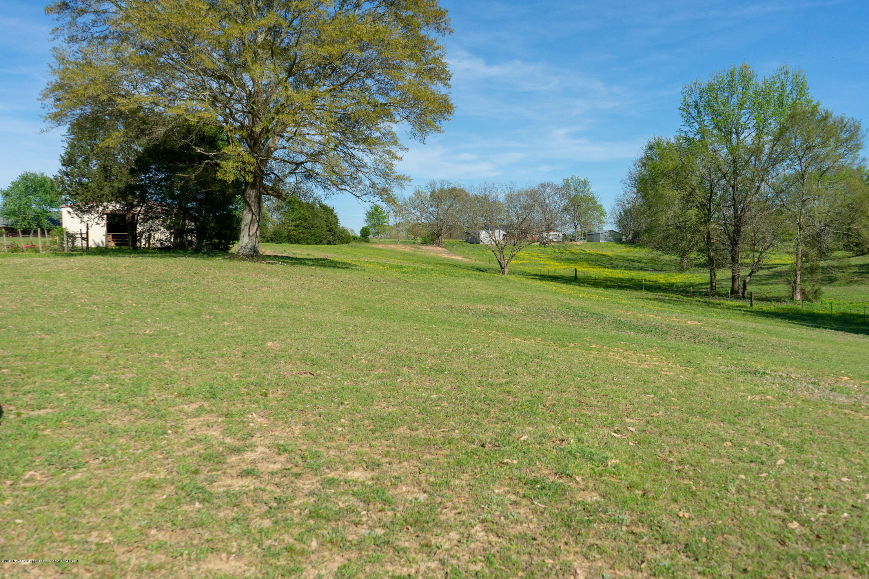 2596 Peyton Road Coldwater, MS 38618 - Photo 58 of 65 GORGEOUS LAND