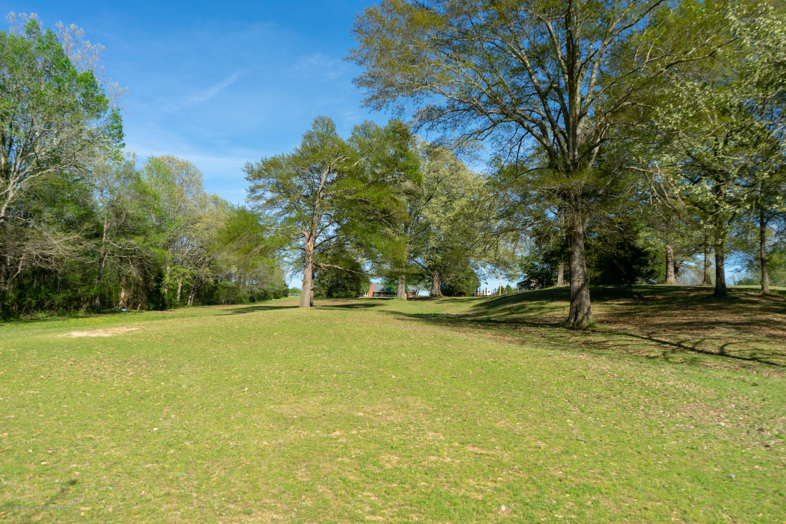 2596 Peyton Road Coldwater, MS 38618 - Photo 59 of 65 GORGEOUS LAND