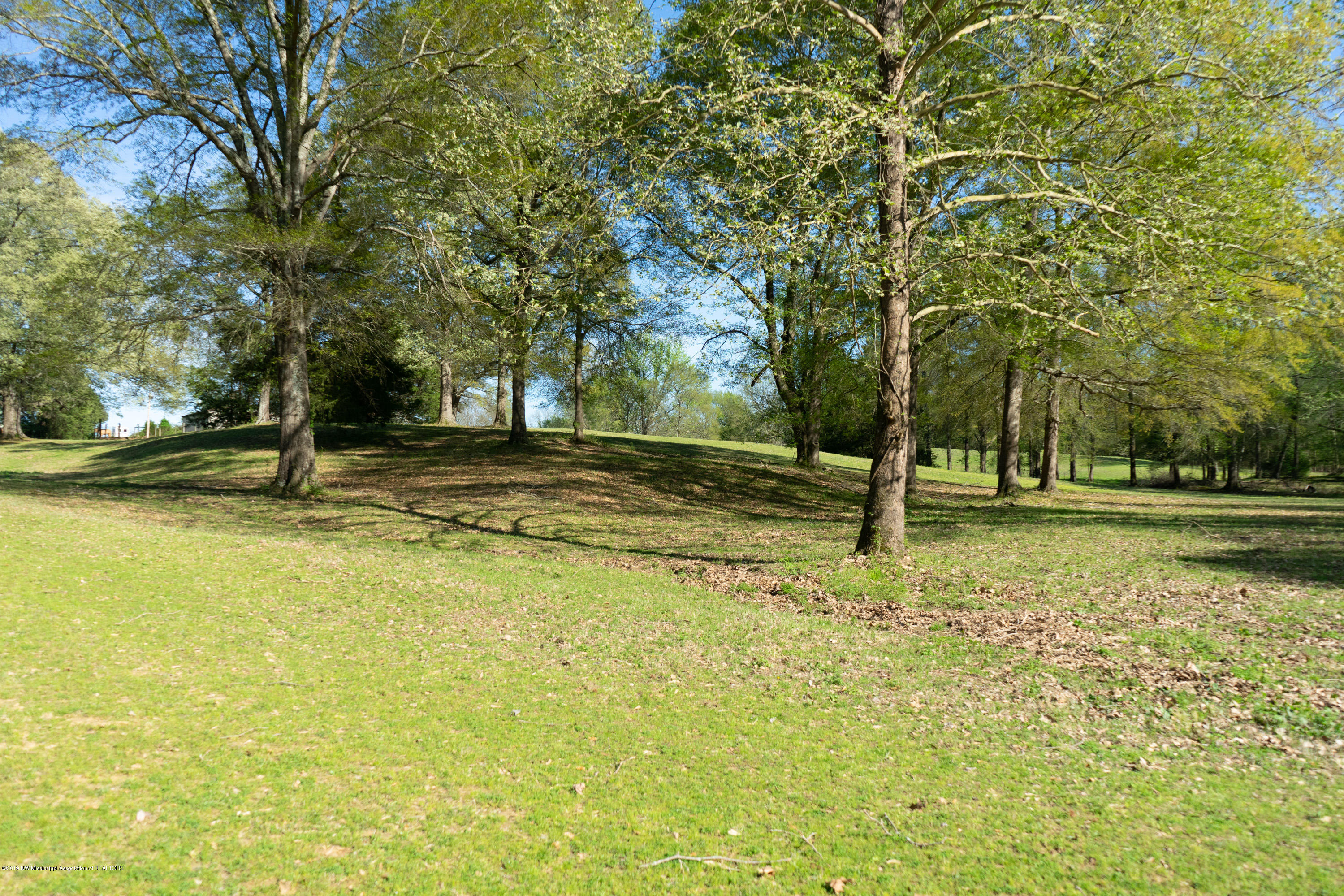 2596 Peyton Road Coldwater, MS 38618 - Photo 60 of 65 GORGEOUS LAND