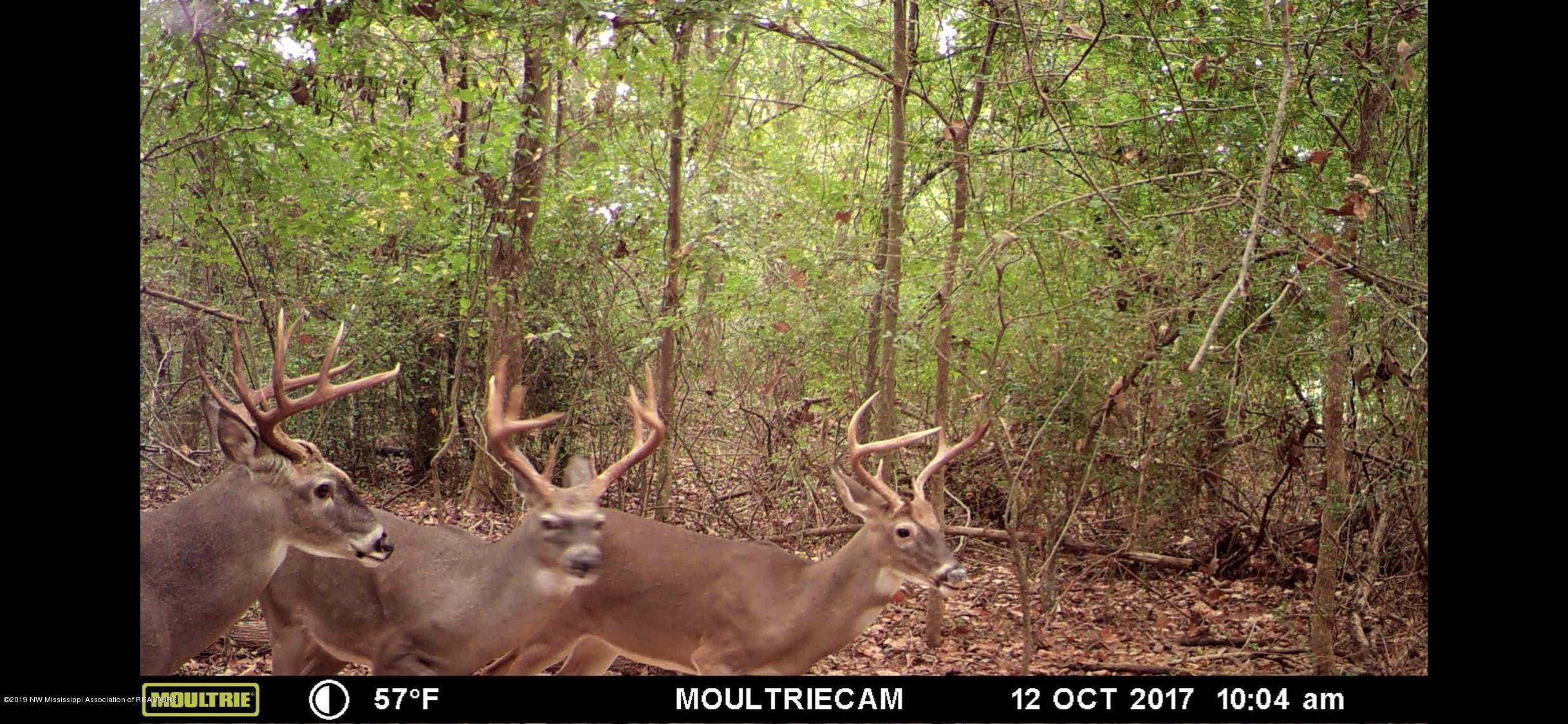 2596 Peyton Road Coldwater, MS 38618 - Photo 64 of 65 IMG_0498