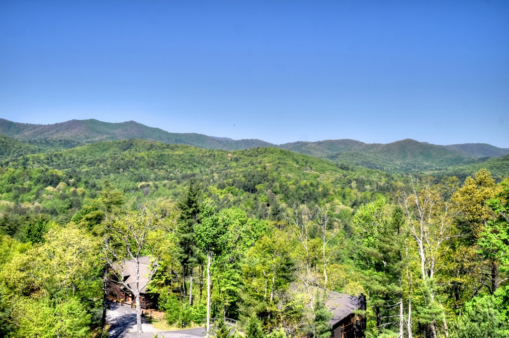 459 Quail Ridge Road Epworth, GA 30541 - Photo 46 of 73 a view of a lush green forest with mountains in the background