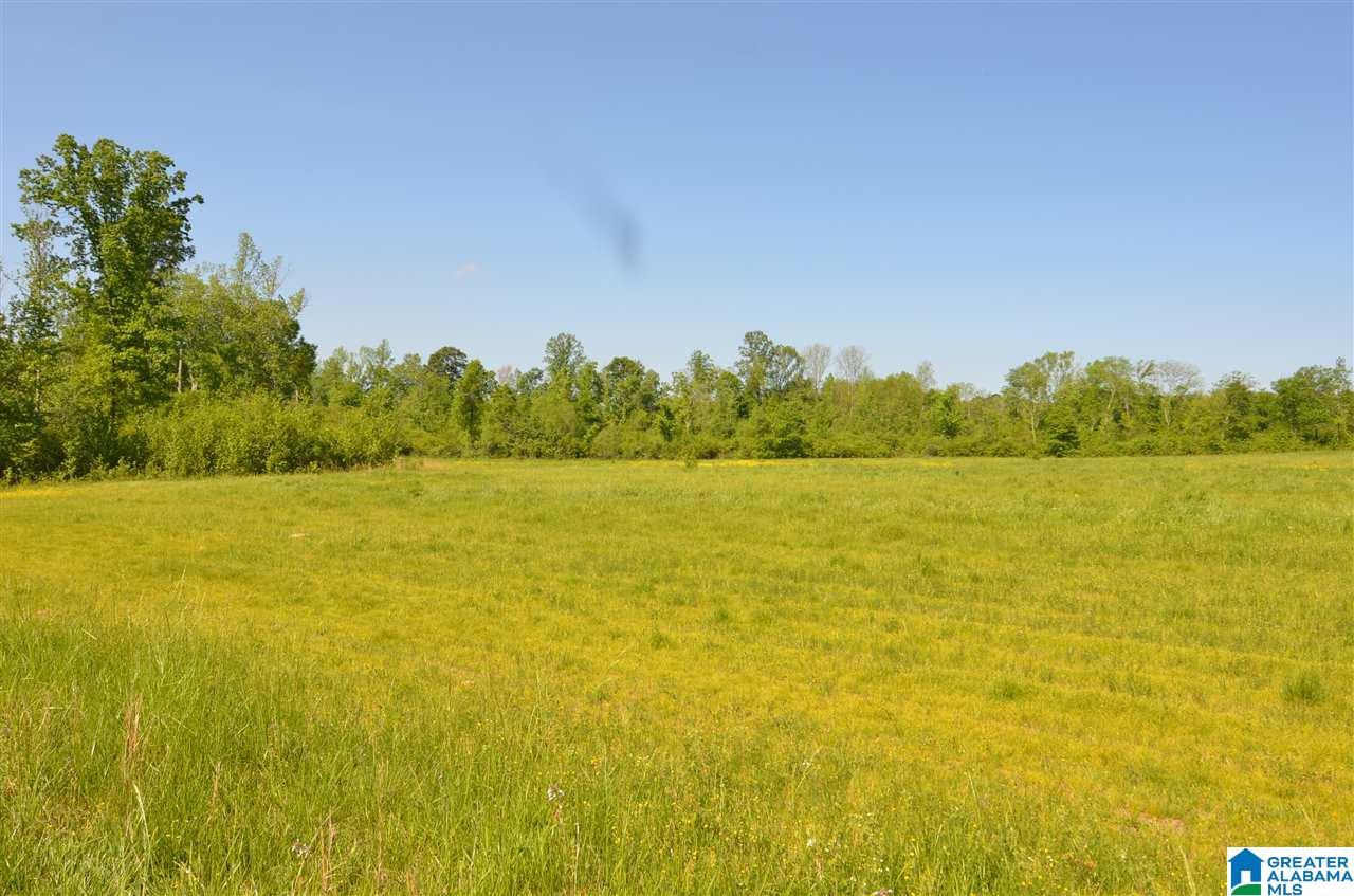254 Bradford Road Altoona, AL 35952 - Photo 44 of 46