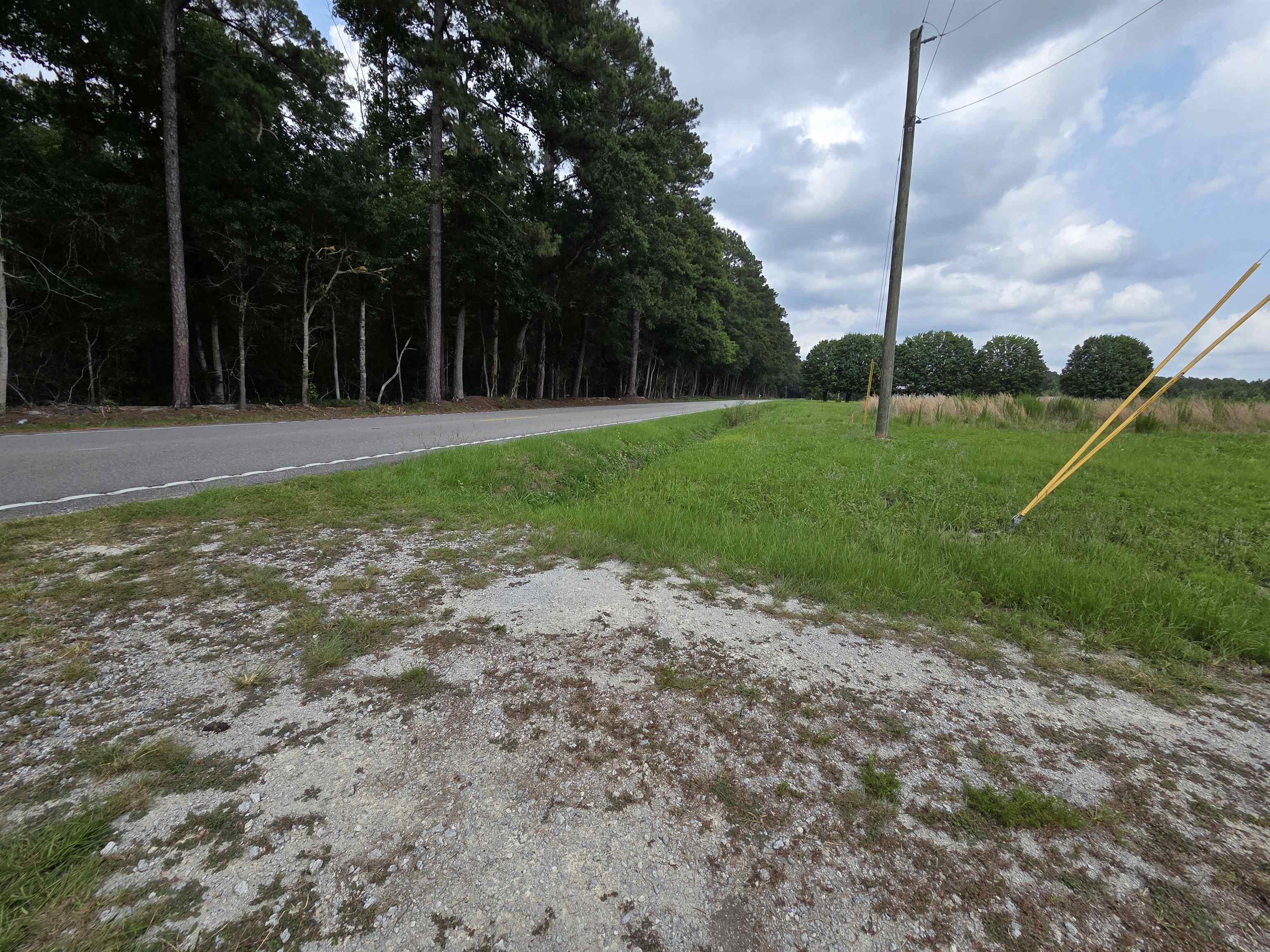 6397 Norton Road Green Sea, SC 29545 - Photo 31 of 36