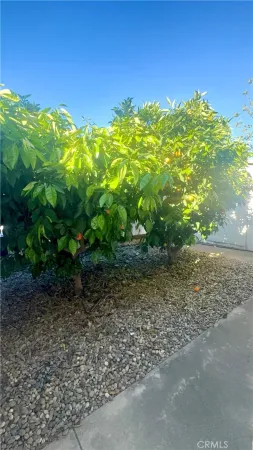 $65,000 | 1218 Cleveland, Unit 152, Madera, CA 93638