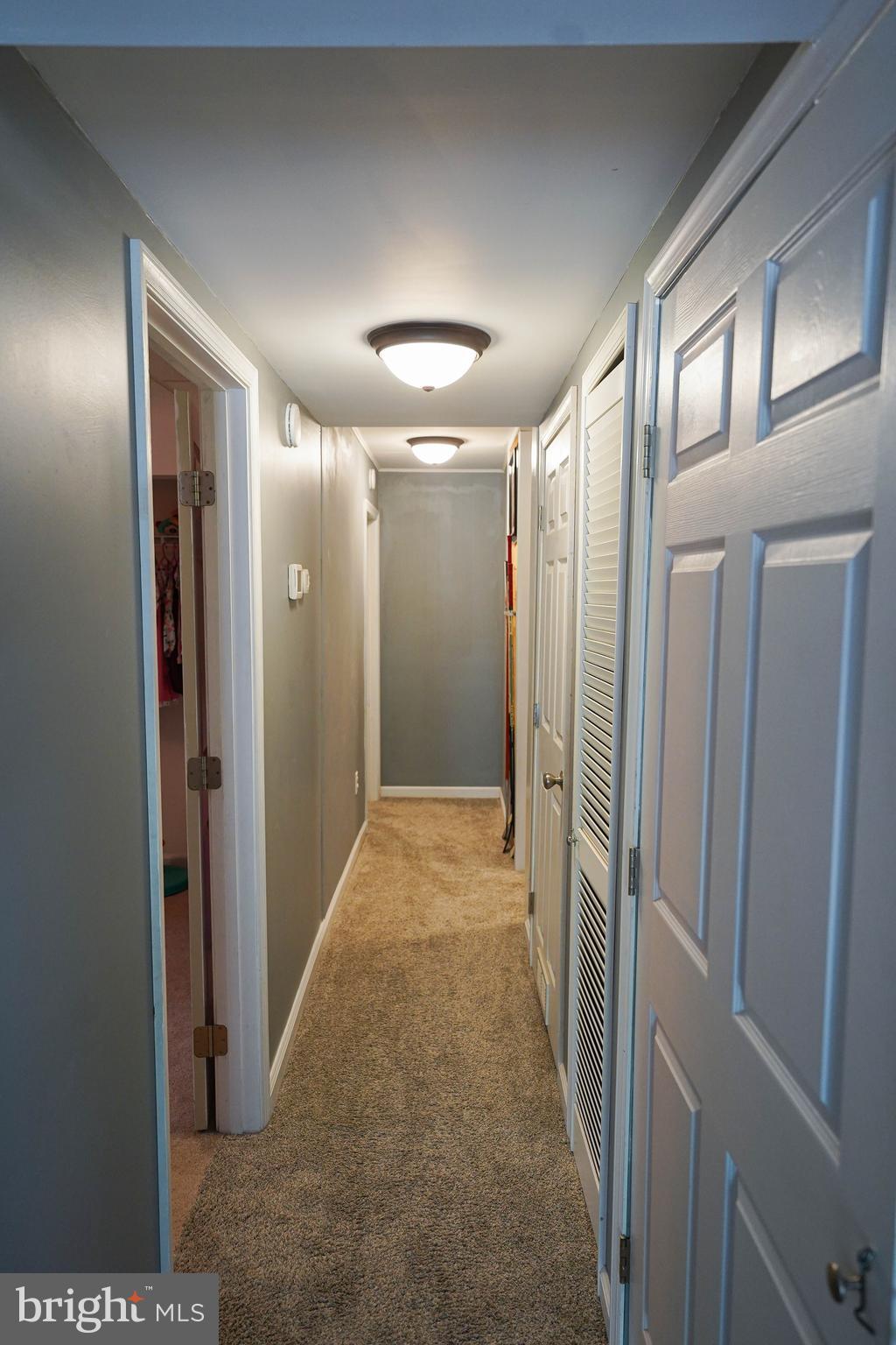 35879 Little Roxanna Road Frankford, DE 19945 - Photo 58 of 114 First Floor - Hallway