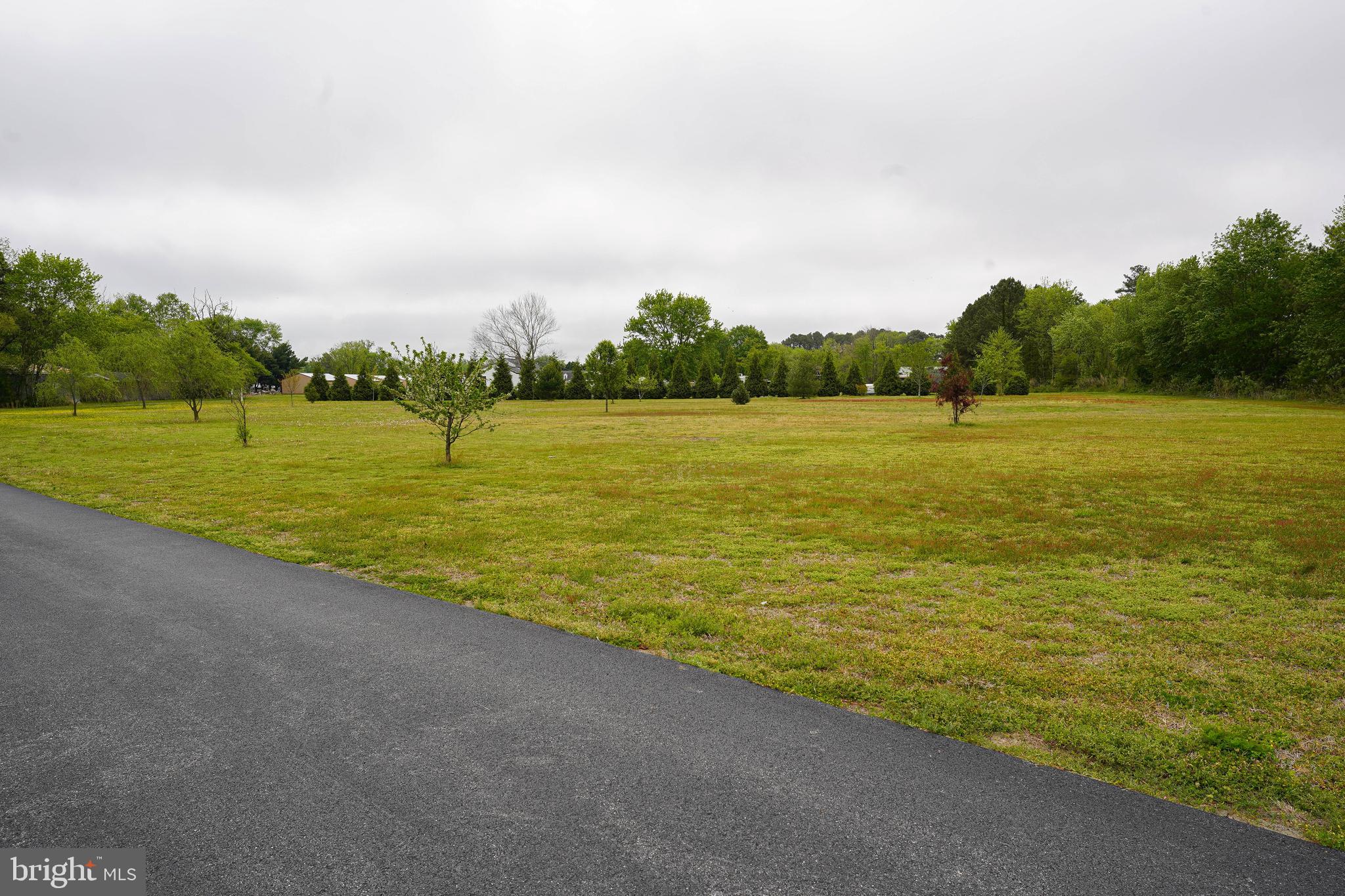 Lawn