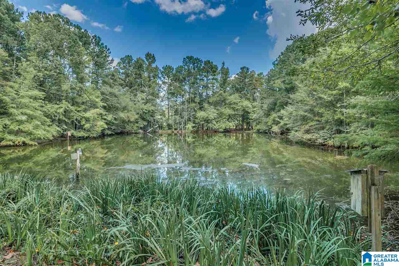 810 Griffin Road Chelsea, AL 35043 - Photo 40 of 50