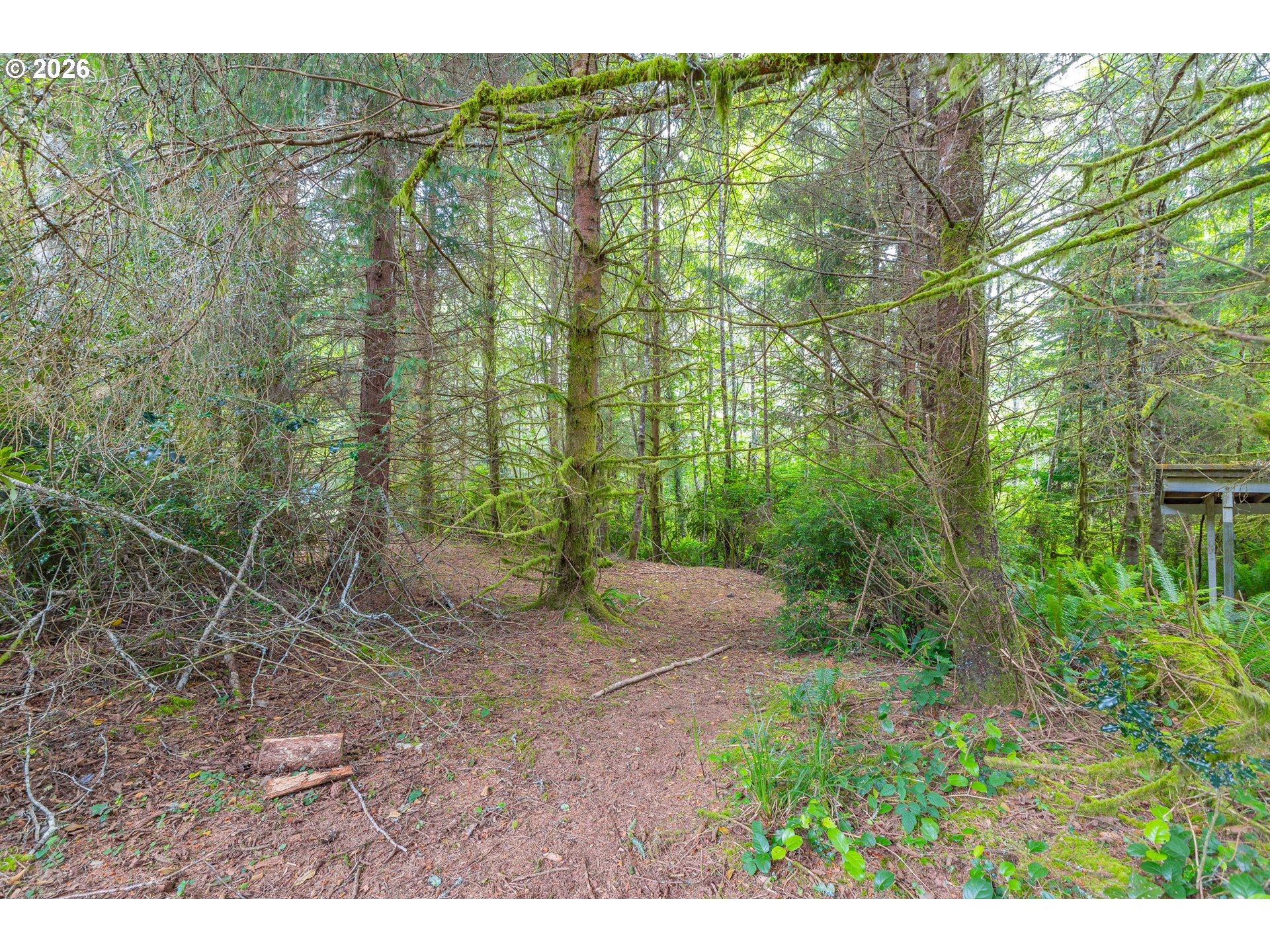 83224 Clear Lake Road Florence, OR 97439 - Photo 43 of 45