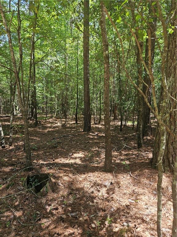 292 Mccannon Road Carlton, GA 30627 - Photo 14 of 21