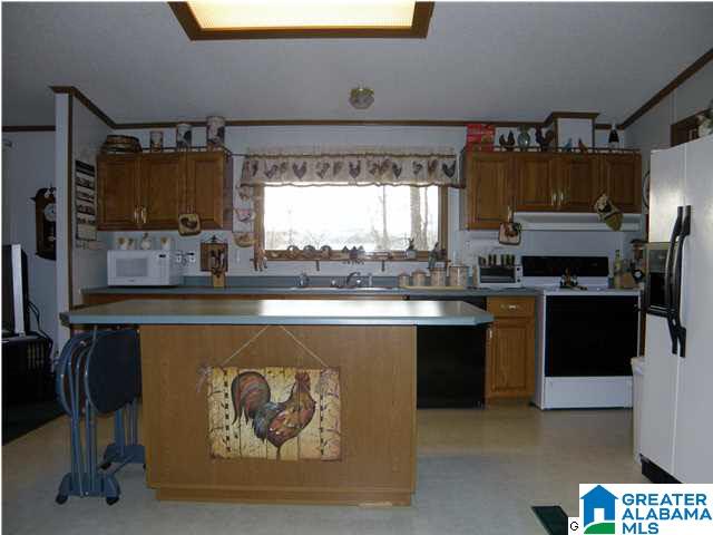 1499 Ray Wyatt Road Ashville, AL 35953 - Photo 11 of 29