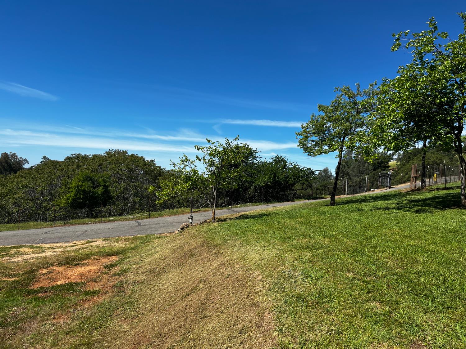 0 Butler Road Penryn, CA 95663 - Photo 13 of 19 a view of a field with trees in the background