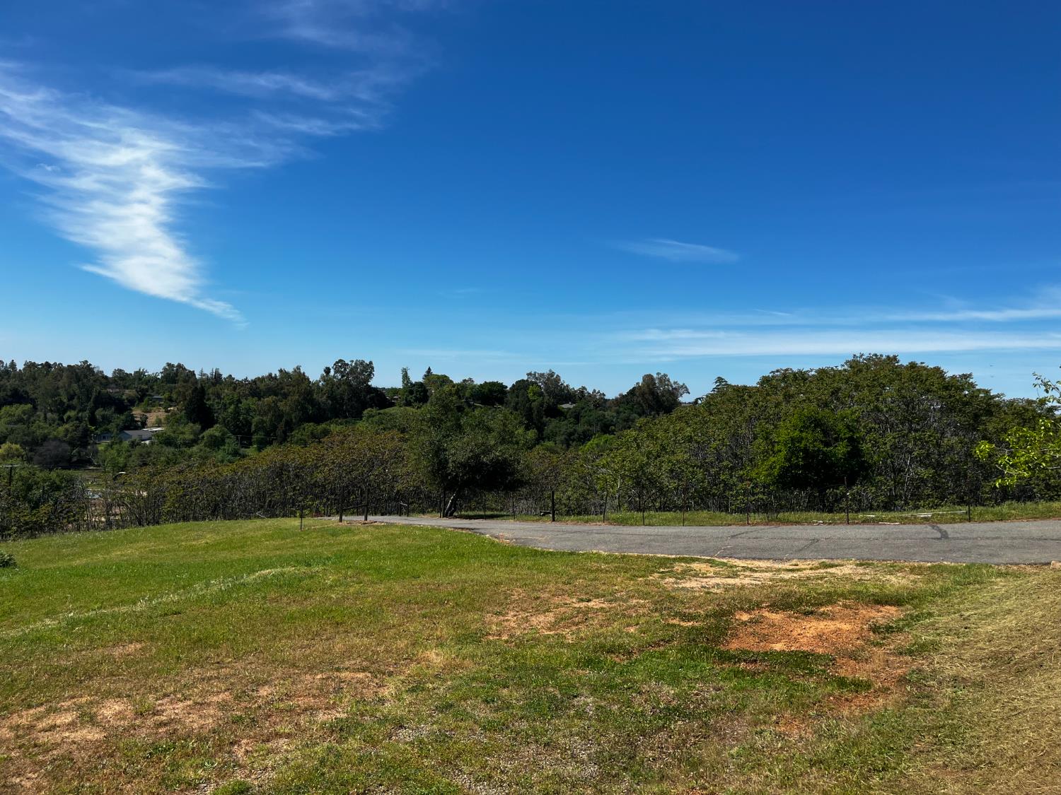 0 Butler Road Penryn, CA 95663 - Photo 14 of 19 a view of a lake with trees in the background