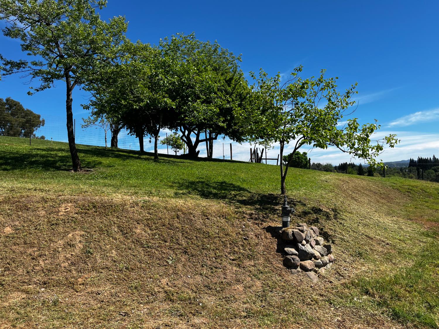 0 Butler Road Penryn, CA 95663 - Photo 19 of 19 a view of a park with large trees