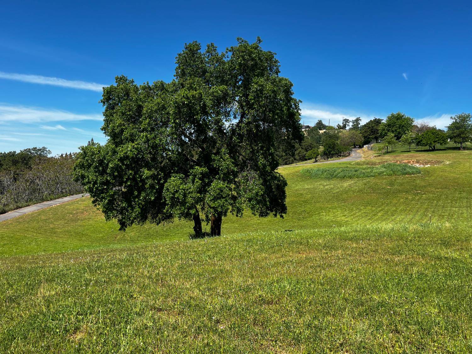 0 Butler Road Penryn, CA 95663 - Photo 3 of 19 a view of a grassy area with an trees