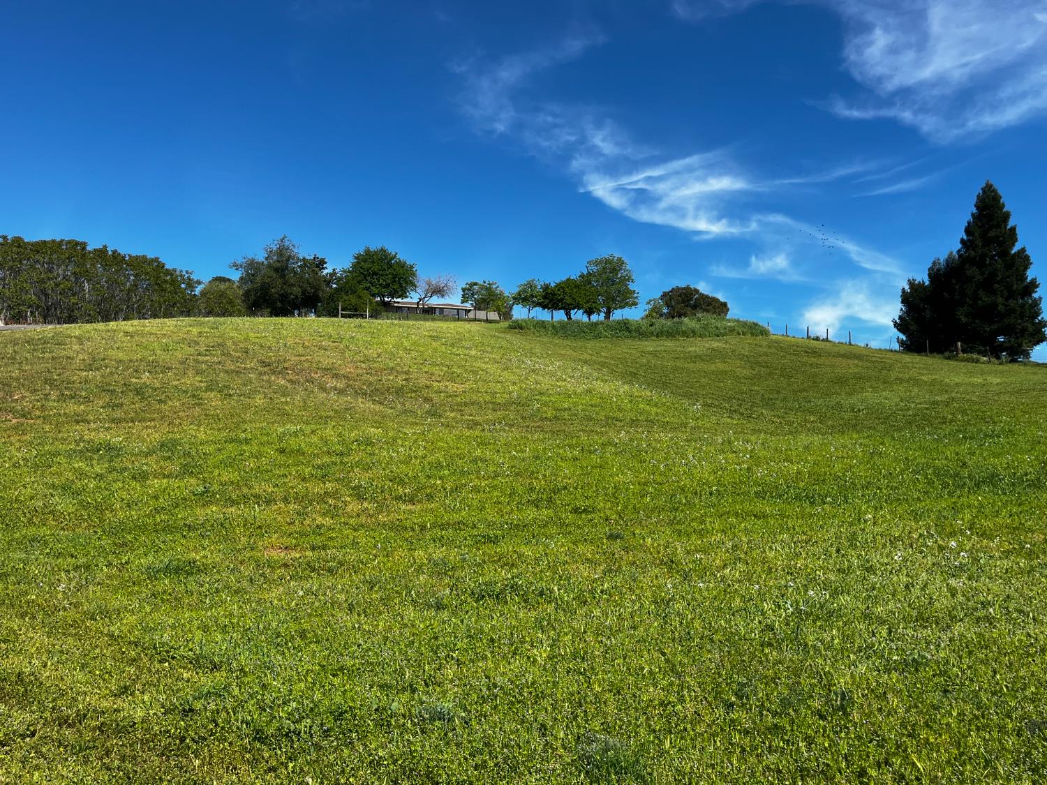 0 Butler Road Penryn, CA 95663 - Photo 5 of 19