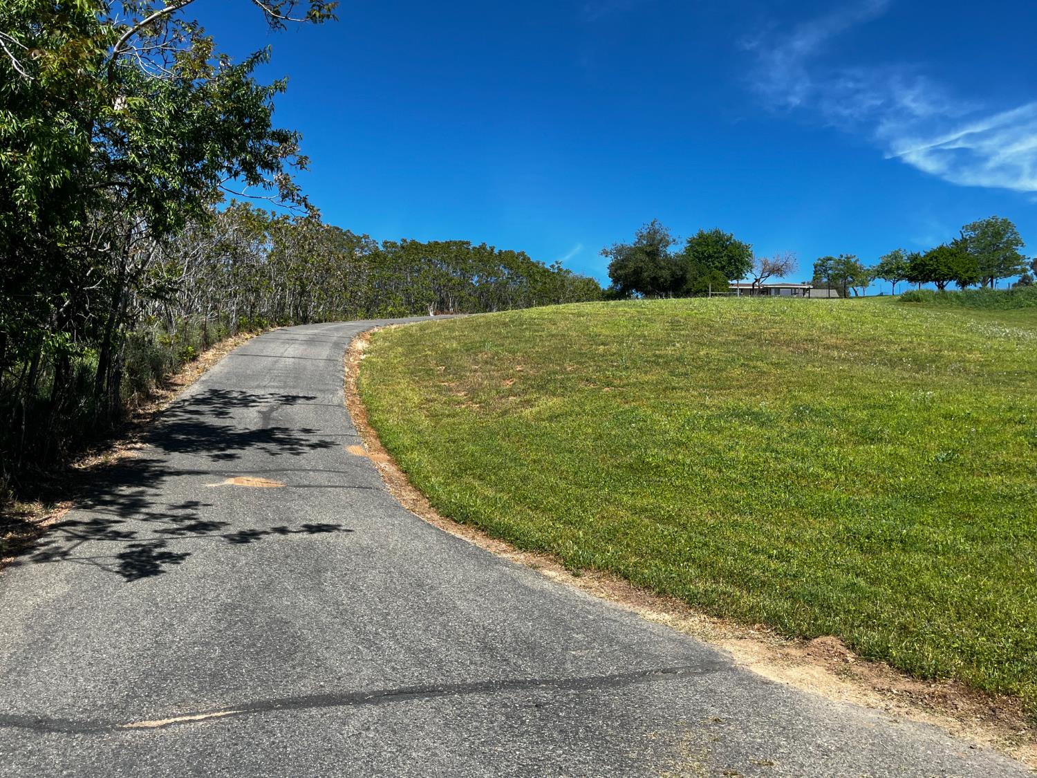 0 Butler Road Penryn, CA 95663 - Photo 6 of 19 a view of a field with an ocean