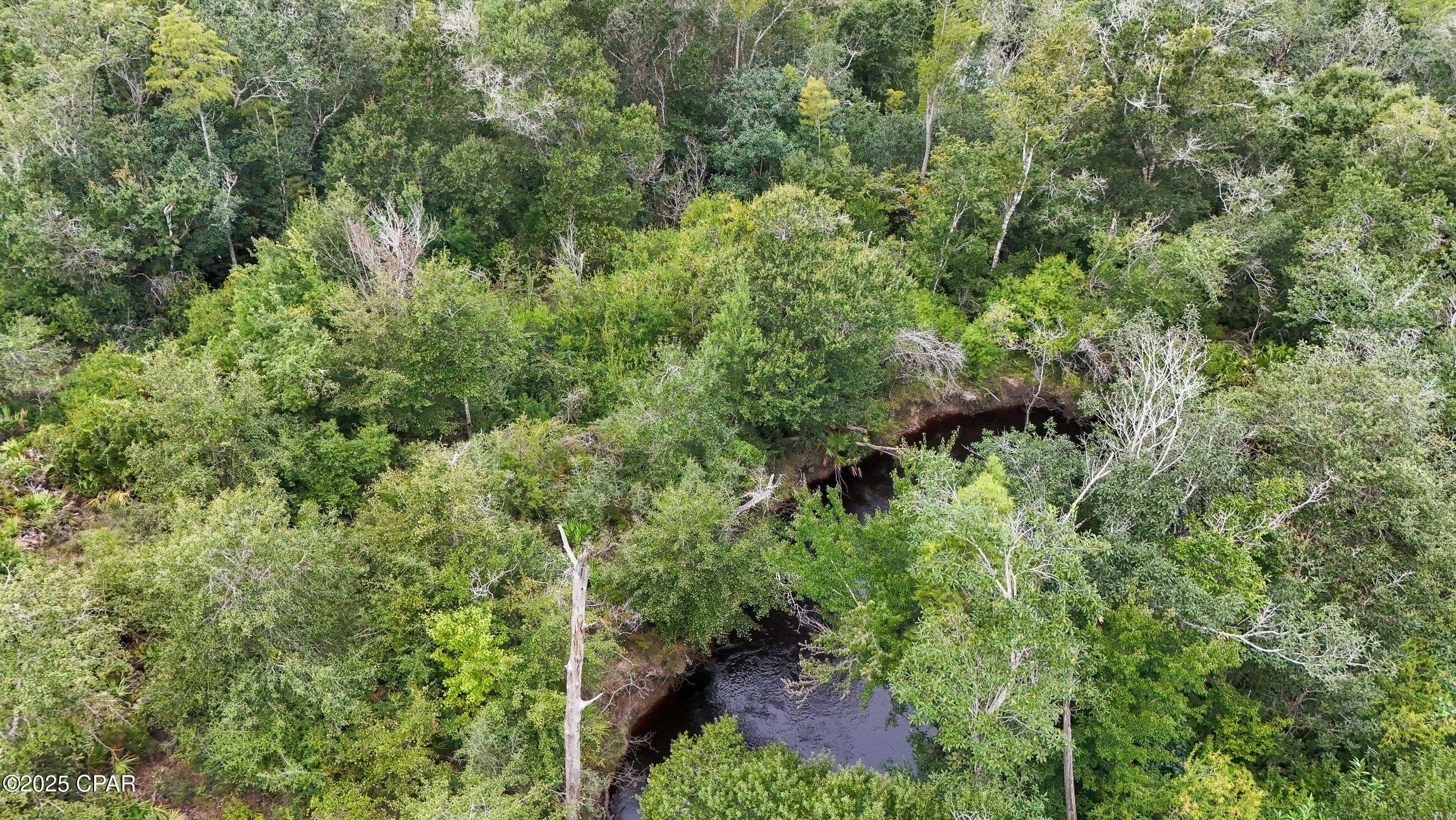 0 Jarrott Daniels Road Wewahitchka, FL 32465 - Photo 13 of 20