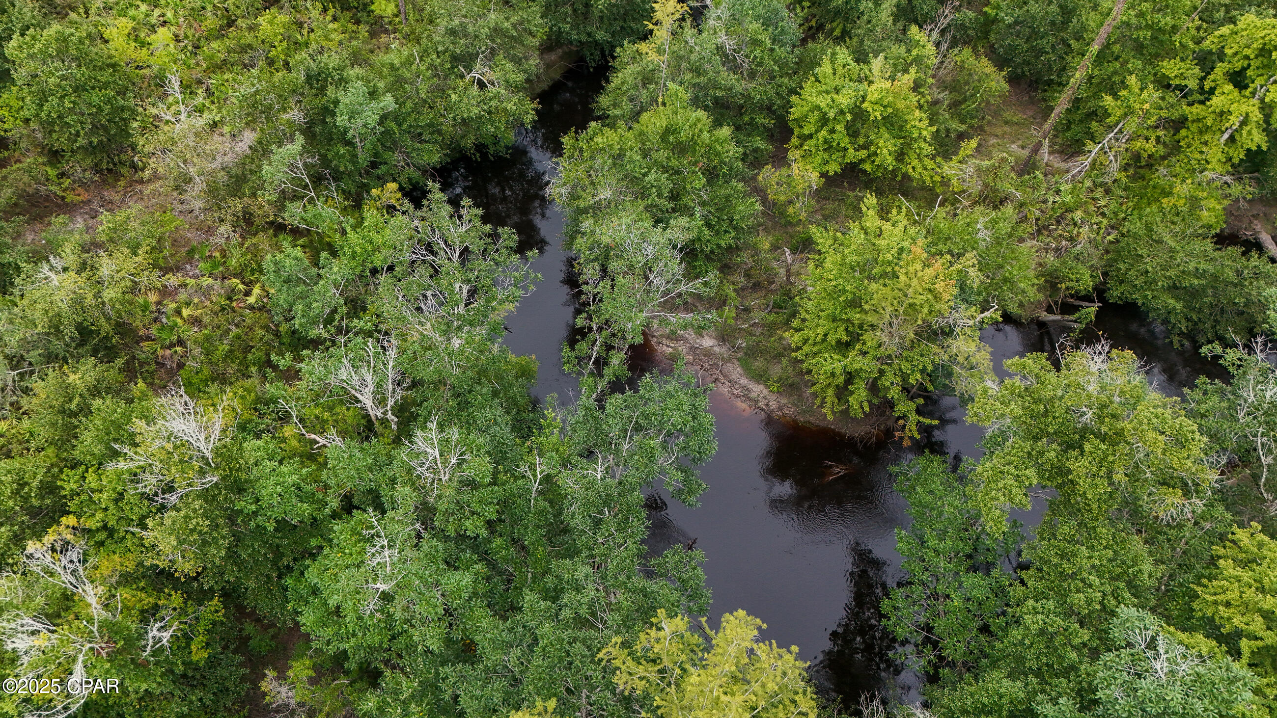 0 Jarrott Daniels Road Wewahitchka, FL 32465 - Photo 15 of 20