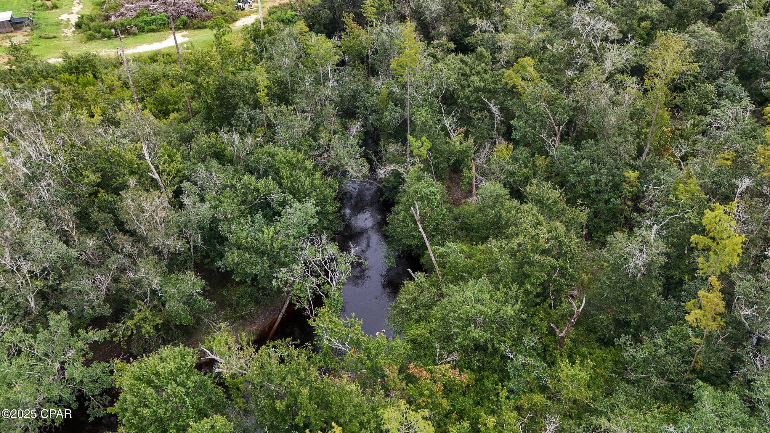 0 Jarrott Daniels Road Wewahitchka, FL 32465 - Photo 7 of 20