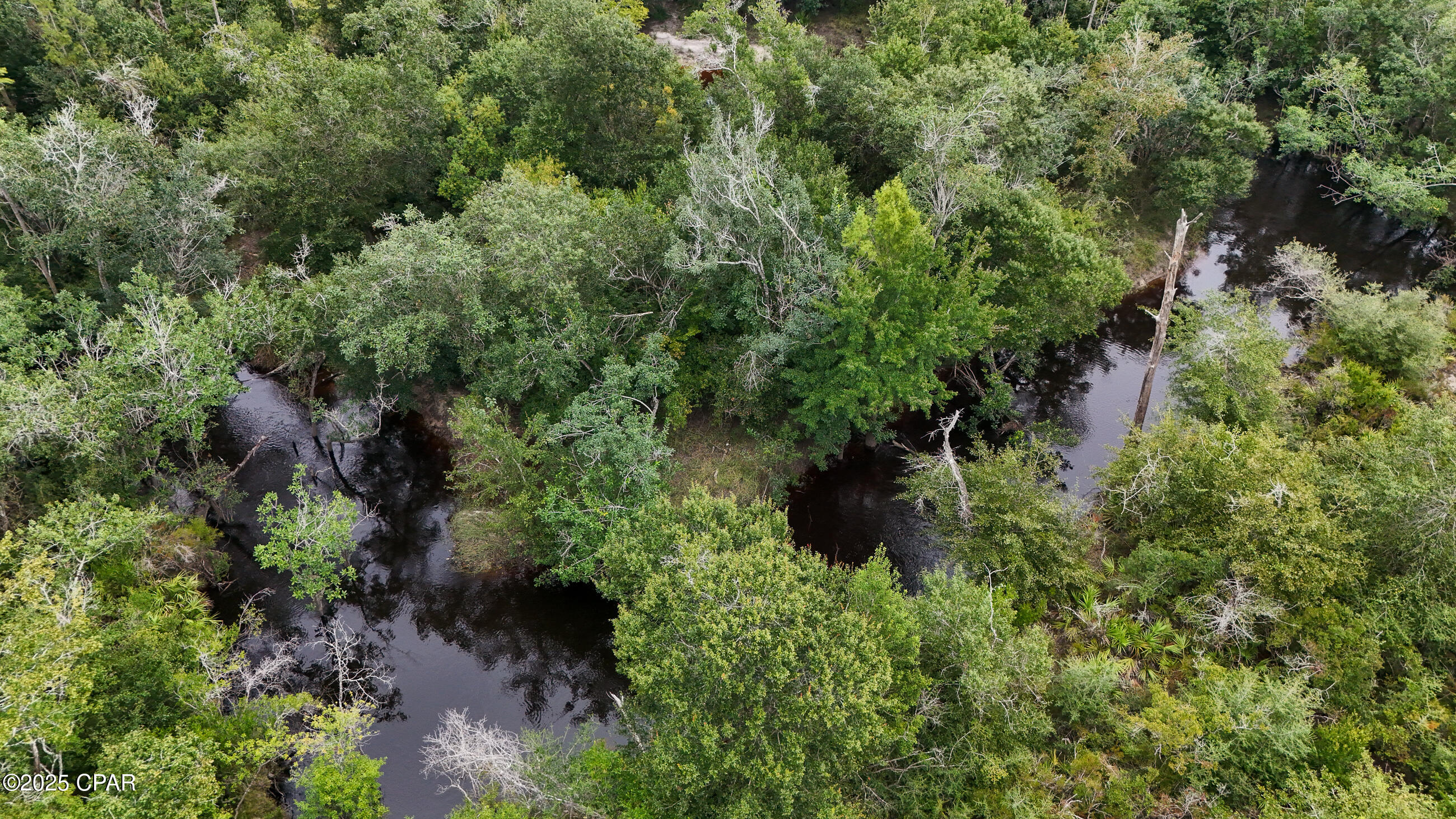 0 Jarrott Daniels Road Wewahitchka, FL 32465 - Photo 8 of 20