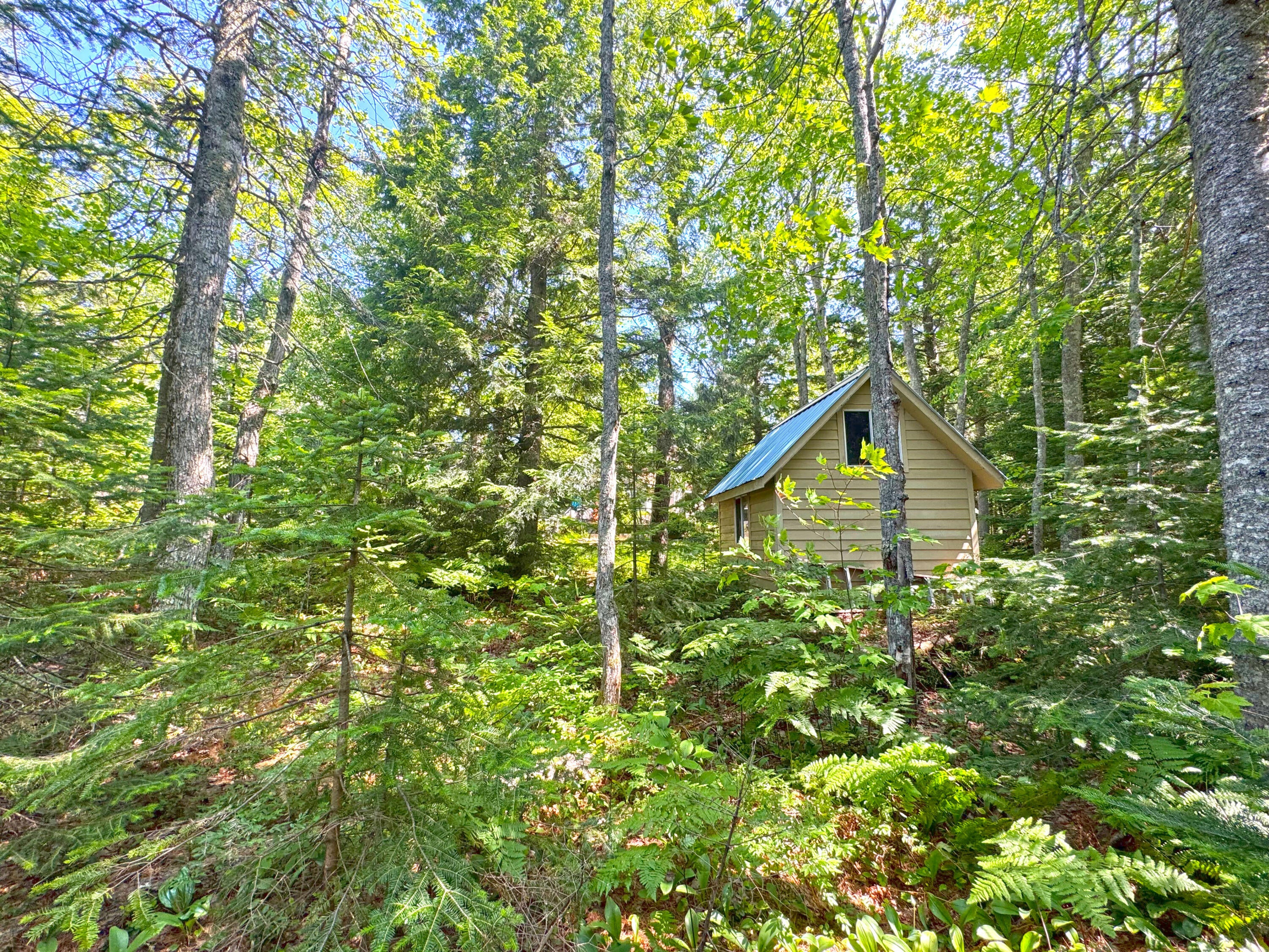 41483 West Betsy River Road Paradise, MI 49768 - Photo 35 of 55 Gallery Image 35