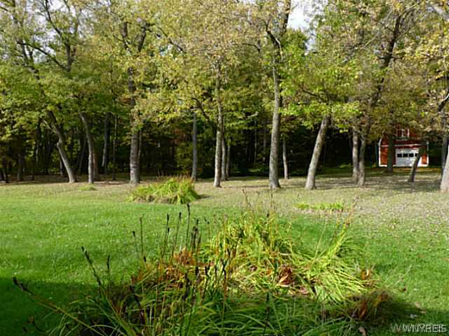 6806 Bear Ridge Road Pendleton, NY 14094 - Photo 3 of 16 Backyard