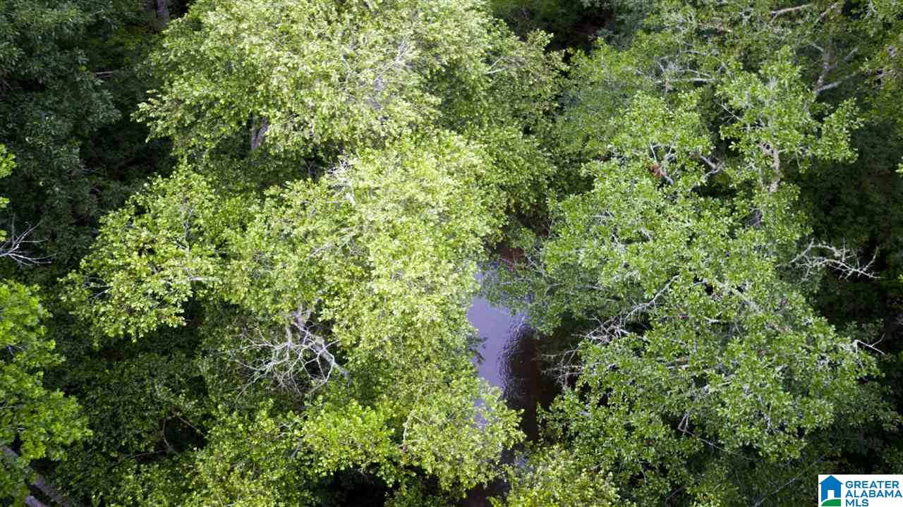 180 Gibson Road, Unit 76 / ACRES OFF GIBSON R Columbiana, AL 35051 - Photo 32 of 50
