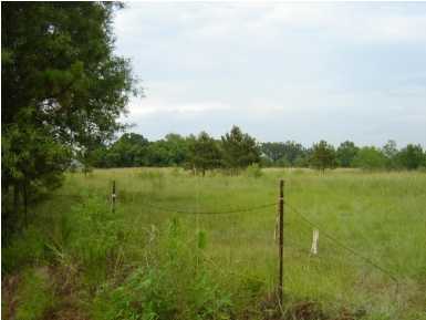 0 Brothers Road Lafayette, LA 70507 - Photo 1 of 1 Primary Photo